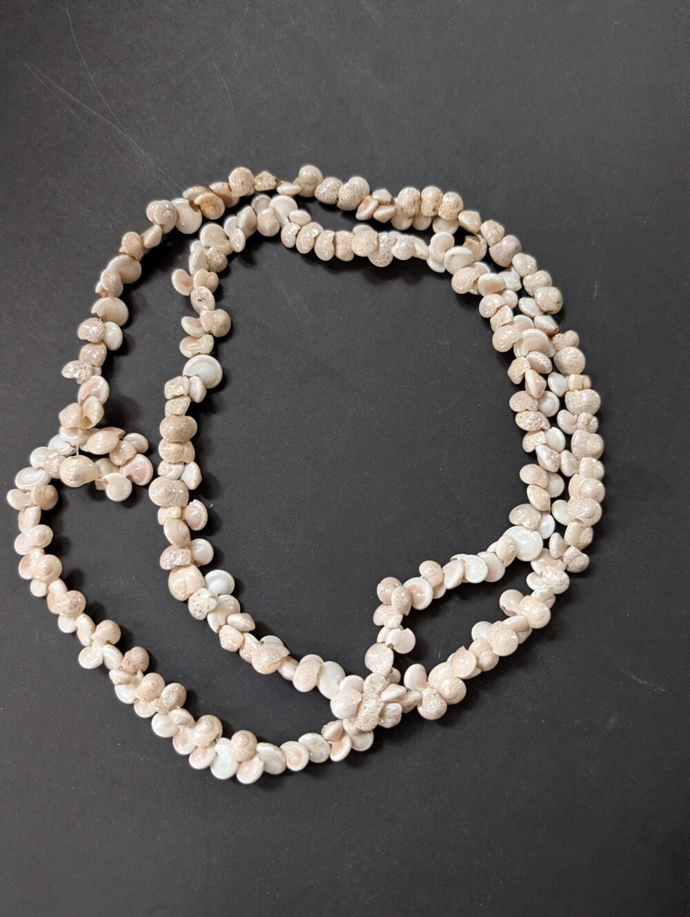 Vintage Natural Shell Bead Necklace in Beige and Ivory